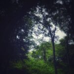 Shingo Katori Instagram – どうしよっかなぁ