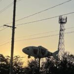 Shingo Katori Instagram – 最近色んなところに行けてるから
どこだろう
綺麗だ
魚、、