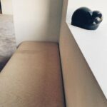 Shingo Katori Instagram - あたたたくなてきたね