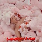 Shirin David Instagram – lieben wir jetzt online 🧸💗 prod by @laas @juhdee @youngmesh @fr.i.o 🎧