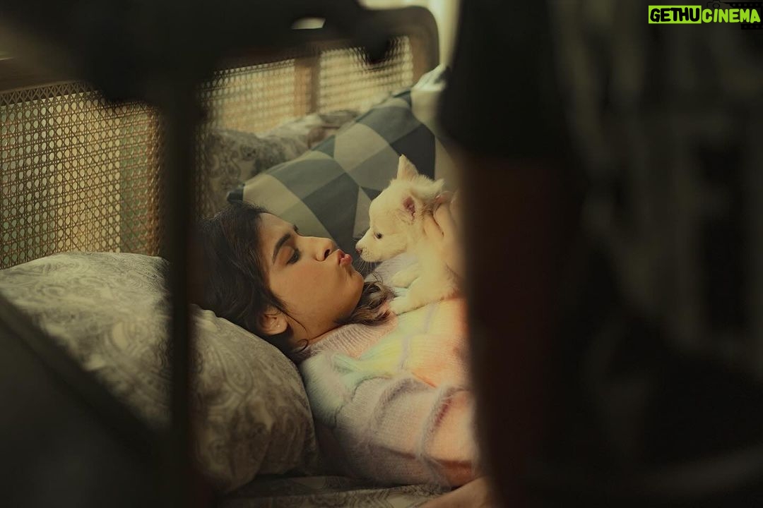 Shirley Setia Instagram - Cuteness level β¦ MAX!! πΆβ€οΈ Hoodie ka video dekha? Kaisa lagaa? Let me know in the comments below! Also @akullofficial and I will be coming live on IG today at 6pm. See you there π€ π·: @afrographer #hoodie #shirleysetia #akullonthebeat