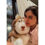 Shivani Narayanan Instagram – Get Vodkafied 🤷‍♀️✅
#vodkathehusky 🐶