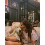 Shivani Narayanan Instagram – My baby boo snowww 🐣🐶
#goldenretriever