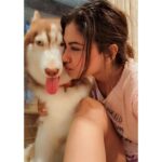 Shivani Narayanan Instagram – Get Vodkafied 🤷‍♀️✅
#vodkathehusky 🐶