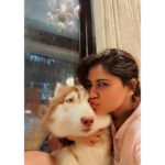 Shivani Narayanan Instagram – Get Vodkafied 🤷‍♀️✅
#vodkathehusky 🐶