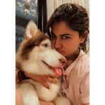 Shivani Narayanan Instagram – Get Vodkafied 🤷‍♀️✅
#vodkathehusky 🐶