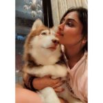 Shivani Narayanan Instagram – Get Vodkafied 🤷‍♀️✅
#vodkathehusky 🐶