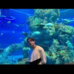 Sho Hirano Instagram – 🏊🐟

#シンガポール
#またお邪魔します
#夜のプールは寒い
#あたりまえ