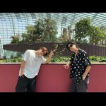 Sho Hirano Instagram - シンガポール🌱 植物園行った🌴