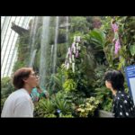 Sho Hirano Instagram - シンガポール🌱 植物園行った🌴