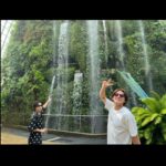 Sho Hirano Instagram - シンガポール🌱 植物園行った🌴