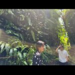 Sho Hirano Instagram - シンガポール🌱 植物園行った🌴
