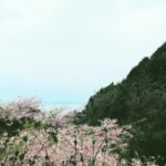 Sho Hirano Instagram - 🫠🫠🫠 1枚目はご飯の後 2枚目は仕事行く途中の外 3枚目は🪿🐦‍⬛🦆🐓🦢 4枚目は忘れたー！ 暑いから水分取ってね！ 塩分と水！ はい！ バイバイ！ #sho_film
