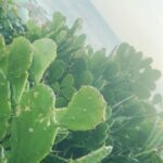 Sho Hirano Instagram - 自分で撮ったお気に入りの写真🌺 今は夏だから夏秋冬春の順番で🫥 #sho_film