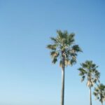 Sho Hirano Instagram - 自分で撮ったお気に入りの写真🌺 今は夏だから夏秋冬春の順番で🫥 #sho_film