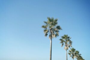 Sho Hirano Instagram - 自分で撮ったお気に入りの写真🌺
今は夏だから夏秋冬春の順番で🫥

#sho_film
