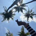 Shruti Sharma Instagram - 🪼🪸🌅🦦🧜‍♀️ Coconut Tree Hill - Mirissa
