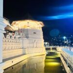 Shruti Sharma Instagram – 😇💜✨🙏🏻
📸 @rehabalattar 😘 Temple of the Tooth Relic