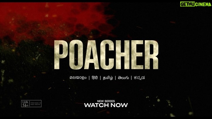 Shweta Tripathi Instagram - Thank you @richie.mehta for telling stories that touch the heart and open up our minds. #Poacher on Prime Video is a masterful eight-episode eco-thriller based on the 2015 investigation of the largest ivory poaching ring in Indian history. Watch NOW!! 🐘 Also @aliaabhatt 🫡💙 #PoacheronPrime @primevideoin @dibeyenduofficial @roshan.matthew @nimisha_sajayan @mansfield.ray #ad