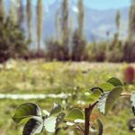 Siddhant Chaturvedi Instagram - घुमक्कड़ प्रवृत्ति // Ghumakkad Pravritti