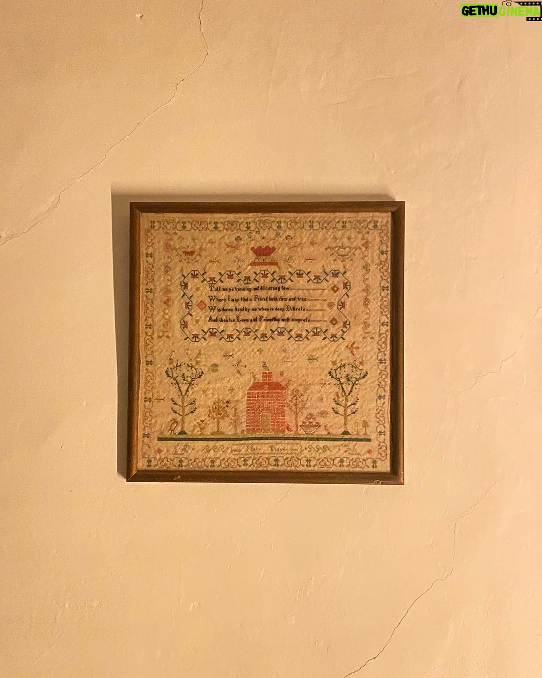 Sienna Belle Instagram - my fox family. πβ¨π
ποΈπππ€π¦ dump 1: traveled across the world to film a movie (still canβt believe it. π), filmed in the most beautiful farmhouse with the most amazing cast and crew, we prayed for snow and it came, froze while filming in the woods, had an insane amount of coffee, and couldnβt have had a more magical couple of daysβ¦ β€οΈβπ©Ήβ¨π