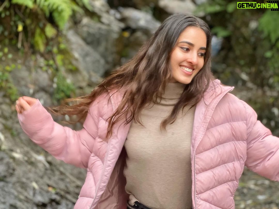 Simrat Kaur Instagram - Is this candid ? 🤨 Shimla - The Queen Of Hills