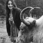 Simrat Kaur Instagram - Jabse dekhi hai teri ankhein… Dekha na humne kuch aur hai… Bus aaj ke liye itna… Warna kisse toh aur hain😂😂😂 Shimla - The Queen Of Hills