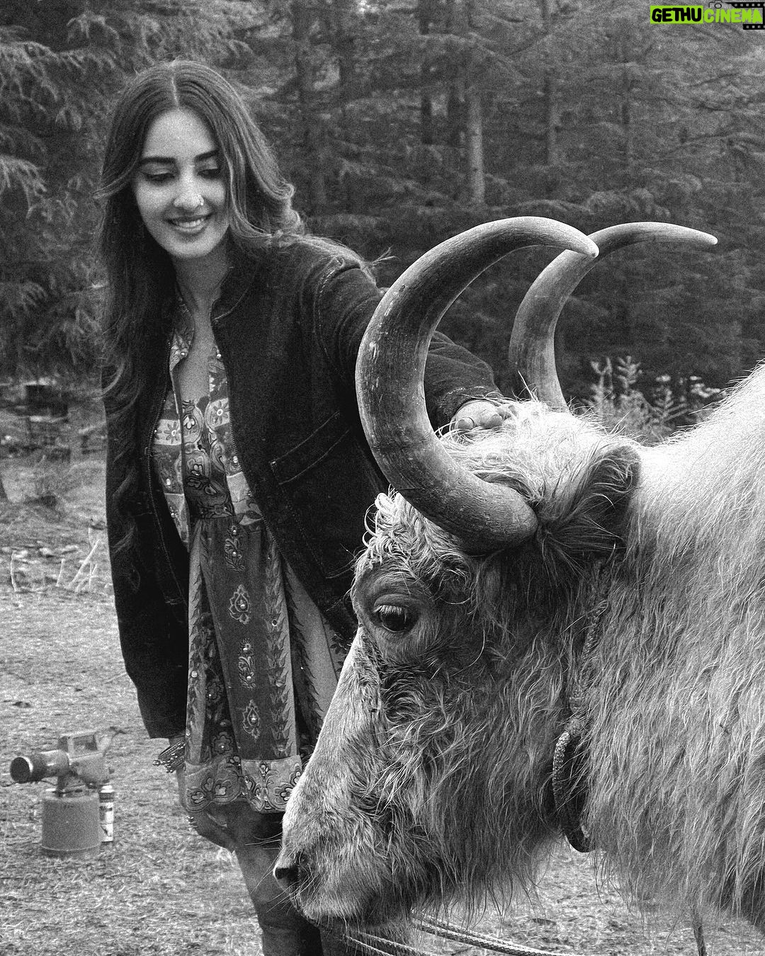 Simrat Kaur Instagram - Jabse dekhi hai teri ankhein… Dekha na humne kuch aur hai… Bus aaj ke liye itna… Warna kisse toh aur hain😂😂😂 Shimla - The Queen Of Hills