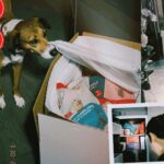 Simu Liu Instagram - I’m pleased to announce my appointment as Chief Content Officer of MìLà (formerly XCJ), an incredible AAPI-owned business that delivers easy-to-cook, restaurant-quality soup dumplings and noodles (and ice cream!) to your door anywhere in the US! I knew that @eat.mila was for real when my parents intercepted a delivery of xiao long bao meant for me years ago, shipped in dry ice to ensure maximum freshness. After just 10 minutes in a steamer, they were perfectly juicy and ready to be devoured. I should know; there were none left for me by the time I got back 🙁 After meeting cofounders Jen and Caleb, I knew I had to get involved. As CCO I’ll play an active role in shaping the creative strategy of the business and driving major marketing initiatives moving forward. Together, our collective mission is to bring the amazing flavours of our culture to a wide audience, uniting and sharing through inclusive food experiences. I’m so excited to be a part of this team and I can’t wait to tell my parents that I have a real job now.