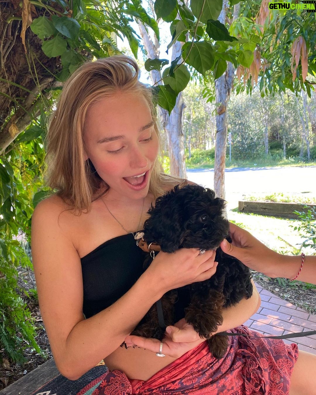 Sina Deinert Instagram - Nothing more beautiful then nature and animals 💙 Australia
