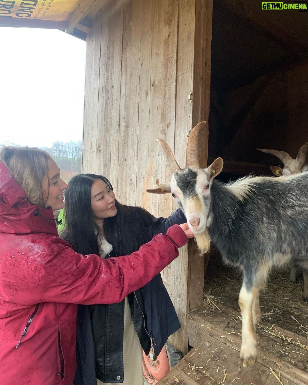 Sina Deinert Instagram - I went to visit @moustache_farmer on his rescue farm today @lebenshof_odenwald !!! And really really enjoyed it haha ππΌββοΈπ thank you for showing us around π«ΆπΌπ