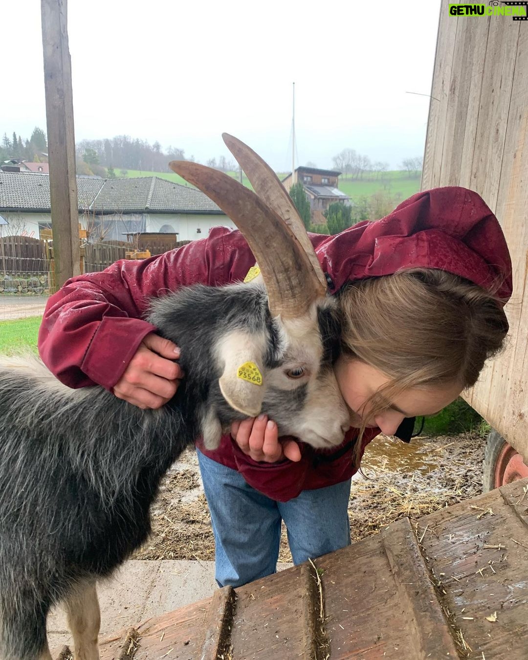 Sina Deinert Instagram - I went to visit @moustache_farmer on his rescue farm today @lebenshof_odenwald !!! And really really enjoyed it haha ππΌββοΈπ thank you for showing us around π«ΆπΌπ