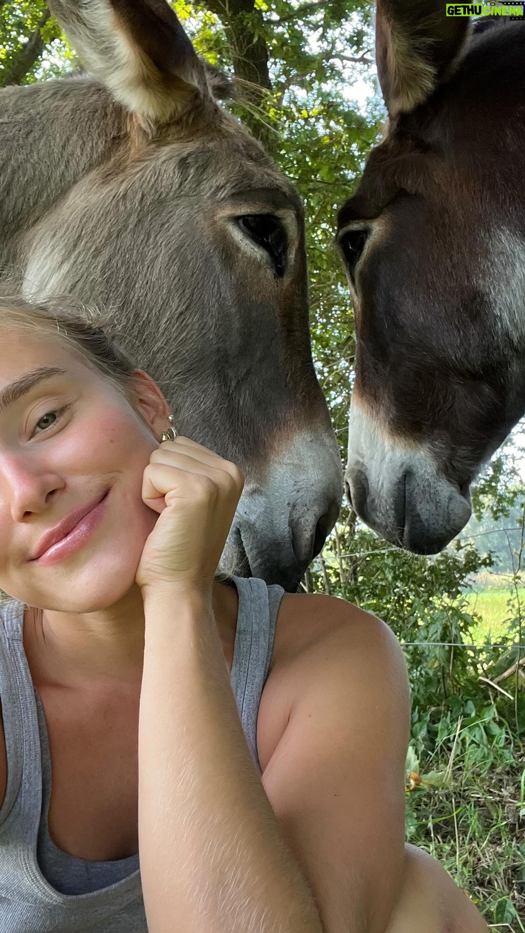 Sina Deinert Instagram - I’ve been working on a farm for only a week but it was so inspiring and fulfilling!!!! 🙏