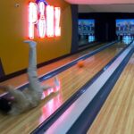 Sina Deinert Instagram - What kind of bowler are you? 1,2,3 or 4? 🎳 @nowunited Los Angeles, California