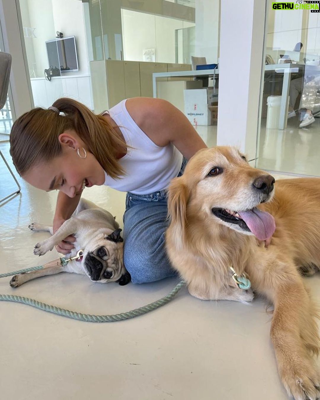 Sina Deinert Instagram - Dogs make me haaappyyy Los Angeles, California