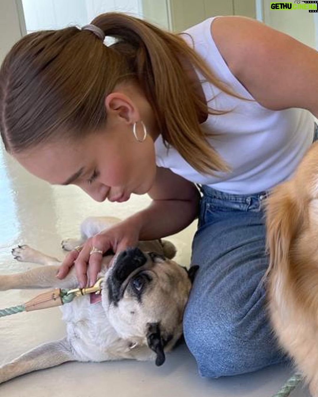 Sina Deinert Instagram - Dogs make me haaappyyy Los Angeles, California