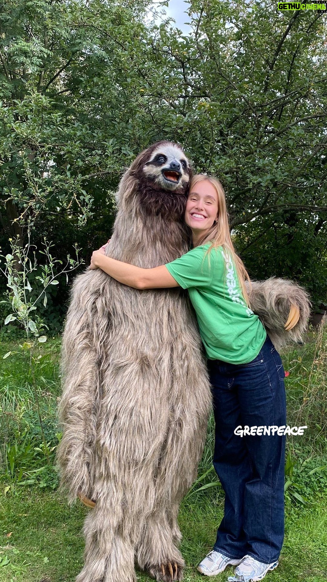 Sina Deinert Instagram - Will you be Lotti’s Valentine? 💞🦥 Show some love on this special day and help us to protect Lotti’s home, the Amazon Rainforest. Join me and Greenpeace on their mission, dance the choreo alone or together with your loved ones and share it on your social media. Don’t forget to tag me and @greenpeace.de so we can see all your lovely videos. 💃✨ Love from me and Lotti the Sloth ❣️ _____ Willst du Lottis Valentin sein? 💞🦥 Zeig an diesem besonderen Tag etwas Liebe und hilf uns, Lottis Zuhause, den Amazonas- Regenwald, zu schützen. Schließ dich Greenpeace und mir auf unserer Mission an, tanze die Choreo alleine oder zusammen mit deinen Liebsten und teile sie auf deinen sozialen Medien. Vergiss nicht, @greenpeace.de und mich zu taggen, damit wir alle eure schönen Videos sehen können. ✨ Ganz viel Liebe von mir und Lotti, dem Faultier ❣️