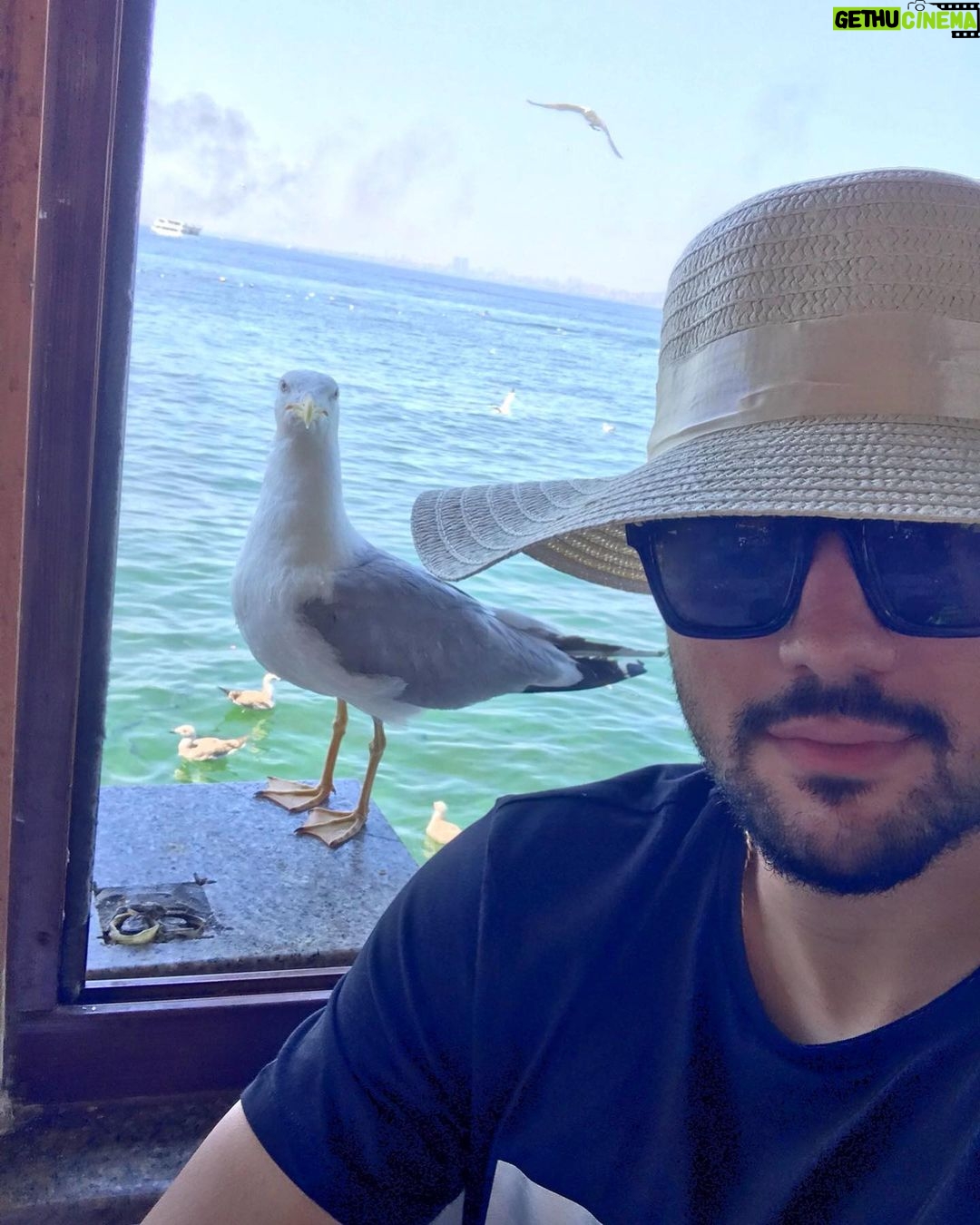 Sina Mehrad Instagram - ...سلفی با رفیق دریایی #selfie 🌊🐦