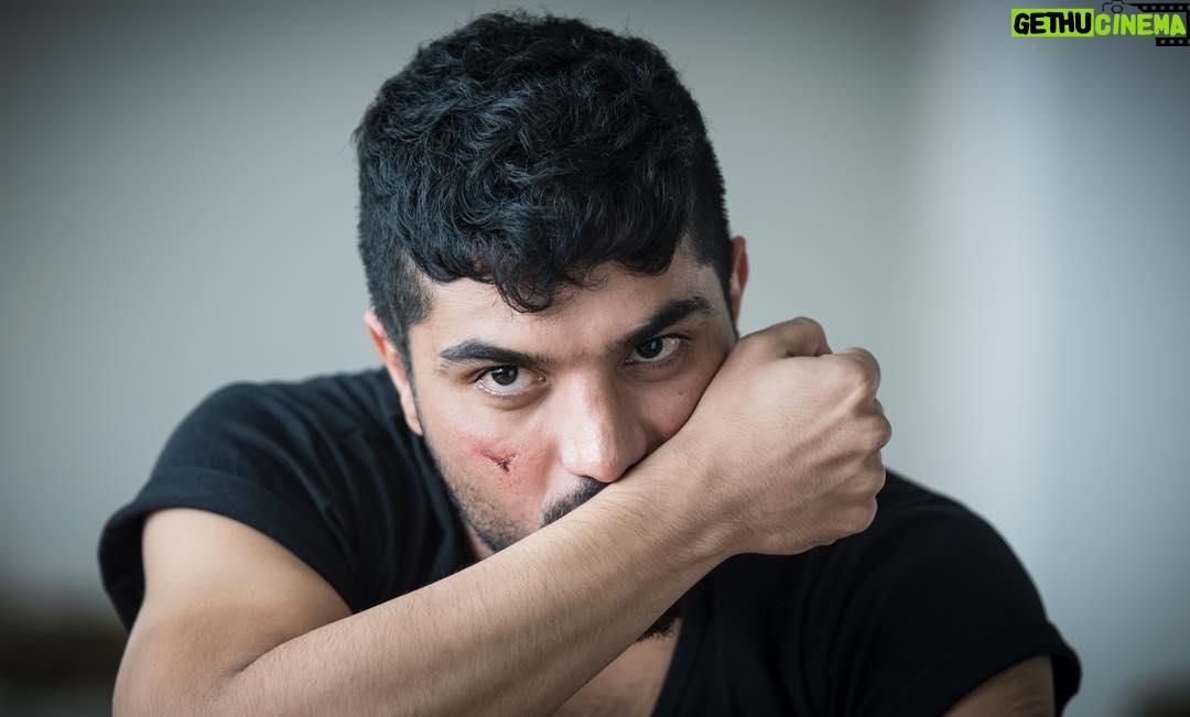 Sina Mehrad Instagram - . عماد گربه : جلوی منو هيچ ديوارى نميتونه سَد كنه... فيلم سينمايى «ژنِ خوک» کارگردان : سعید سهیلی فیلمبردار : مسعود سلامی عکس : سحاب زری باف #persian_cat #عماد_گربه