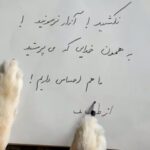 Sina Mehrad Instagram – 🖤🐶…ورق بزنید
تا ما نیز مهربانی و بخشندگی ( این دو صفت پروردگار ) را در رابطه با حیوانات و گیاهان ، آیینه پندار و کردار خود نسازیم ، نمیتوانیم به مهربانی و بخشندگی با آدمیان دست یابیم.
#سگ_کشی#ظالمين#قساوت_قلب