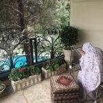 Sina Mehrad Instagram - ❤️ Zafaraniyeh
