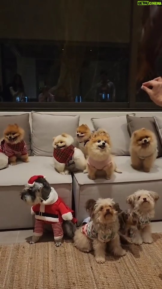 Sirin Horwang - 3.4K Likes - Merry Christmas!!! ใครสนุก??? 🐶🐶🐶🐶
Thank u everyone na kaaa
Lets do this again 🌲🎉🌲🎉