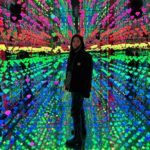 Sirin Horwang Instagram - #vangoghmuseum #mocomuseum #stedelijkmuseum 🤓🤓🤓