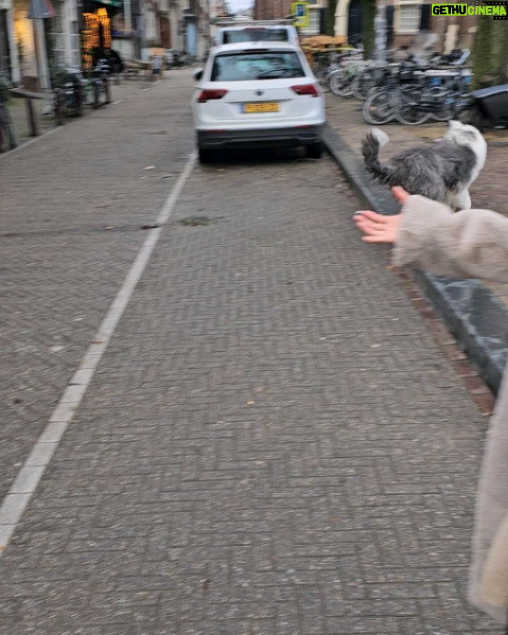 Sirin Horwang Instagram - Tourist 1 อัตรา 🤪🤪🤪 #amsterdam