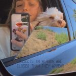 Sistine Rose Stallone Instagram - Adventures with Billie