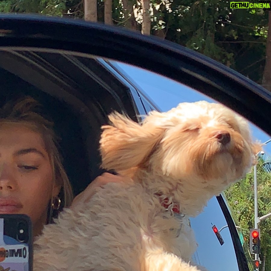 Sistine Rose Stallone Instagram - Adventures with Billie