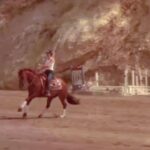 Sistine Rose Stallone Instagram - 🐎Outtake from our new show with @paramountplus & @mtv