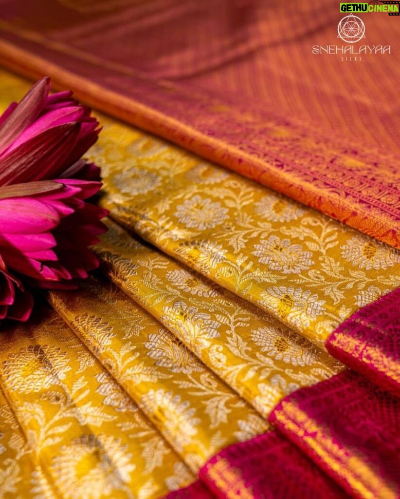 Sneha Instagram - Drape yourself in timeless beauty with our Pure Kanchipuram Silk saree.🥻 The delicate silver zari and charming kuttu border add a touch of grace to every thread. ❤️✨ Embrace simplicity and sophistication with Snehalayaa Silks. 💖✨ #KanchipuramMagic #SnehalayaaElegance #Snehalayaasilks
