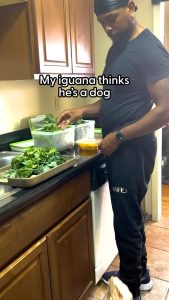 Snoop Dogg Instagram - 😅 good morning @rocket_the_iguana