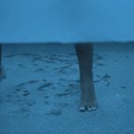 Solange Instagram – In Service to Whom (2023) 
84 minutes 
A four-act performance 
Sound, Video projection, Scenography, Archival Collection
24 screens, 4 channels

Volume Fest at Art Gallery of NSW
